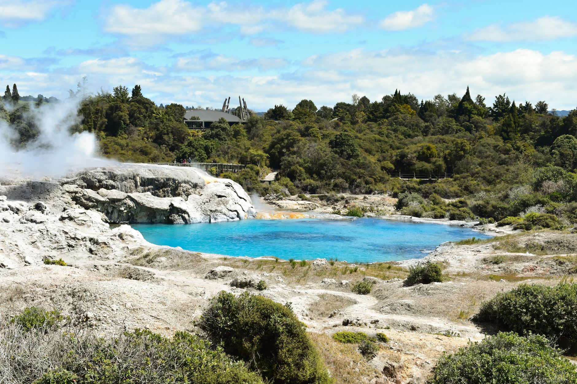 Rotorua thermal pools